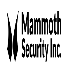 Mammoth Security Inc. Norwalk