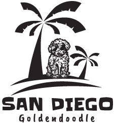 San Diego Goldendoodles